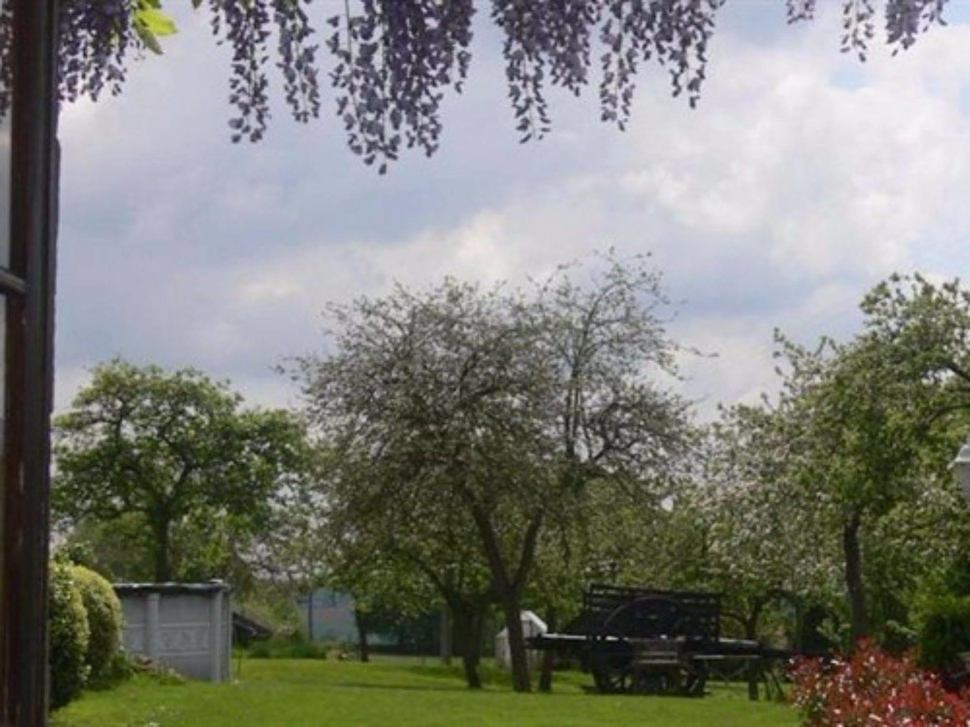 Le Jardin B&B Isigny-le-Buat Екстер'єр фото